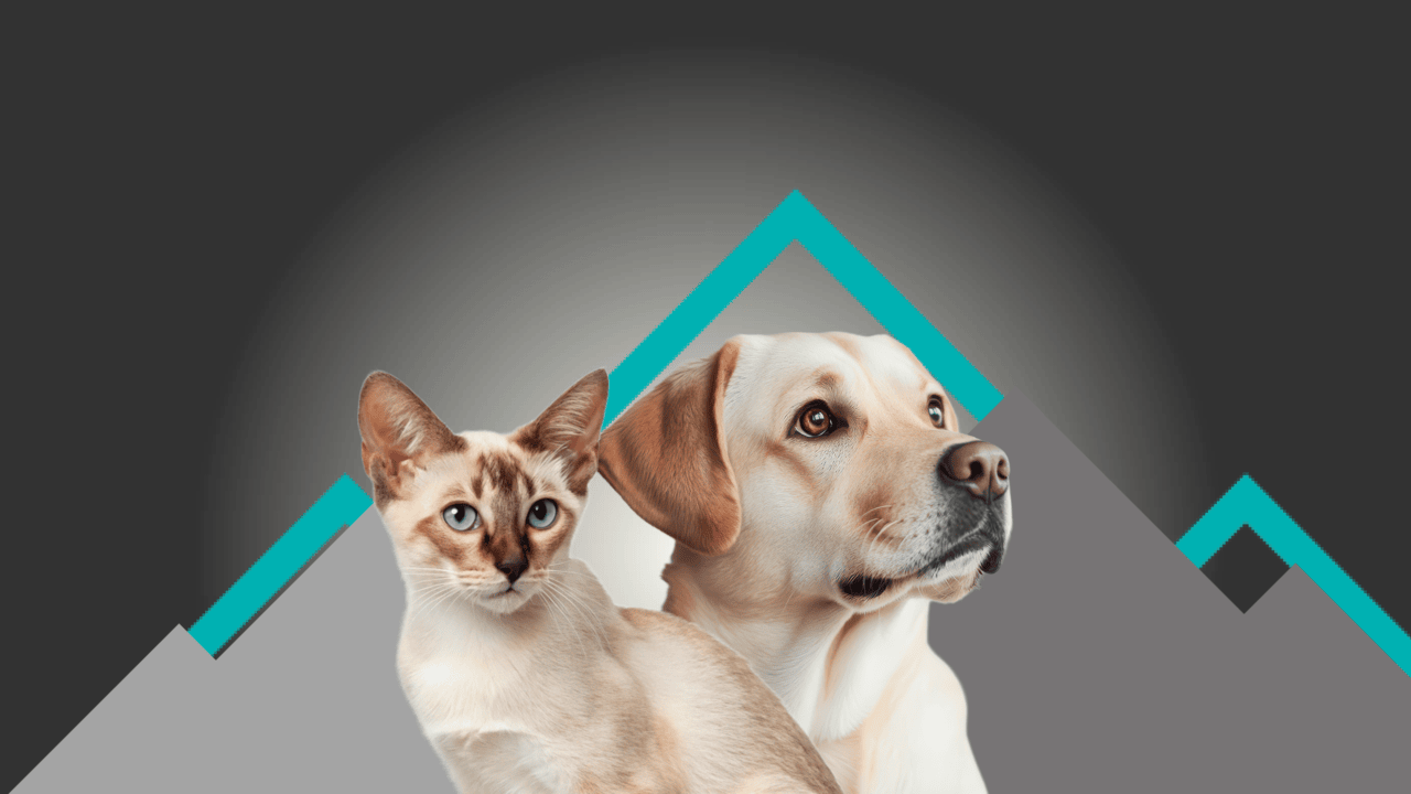 Imagen de Fondo Principal PetSummit