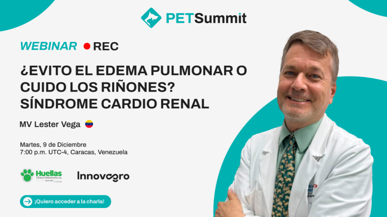 Síndrome cardio renal