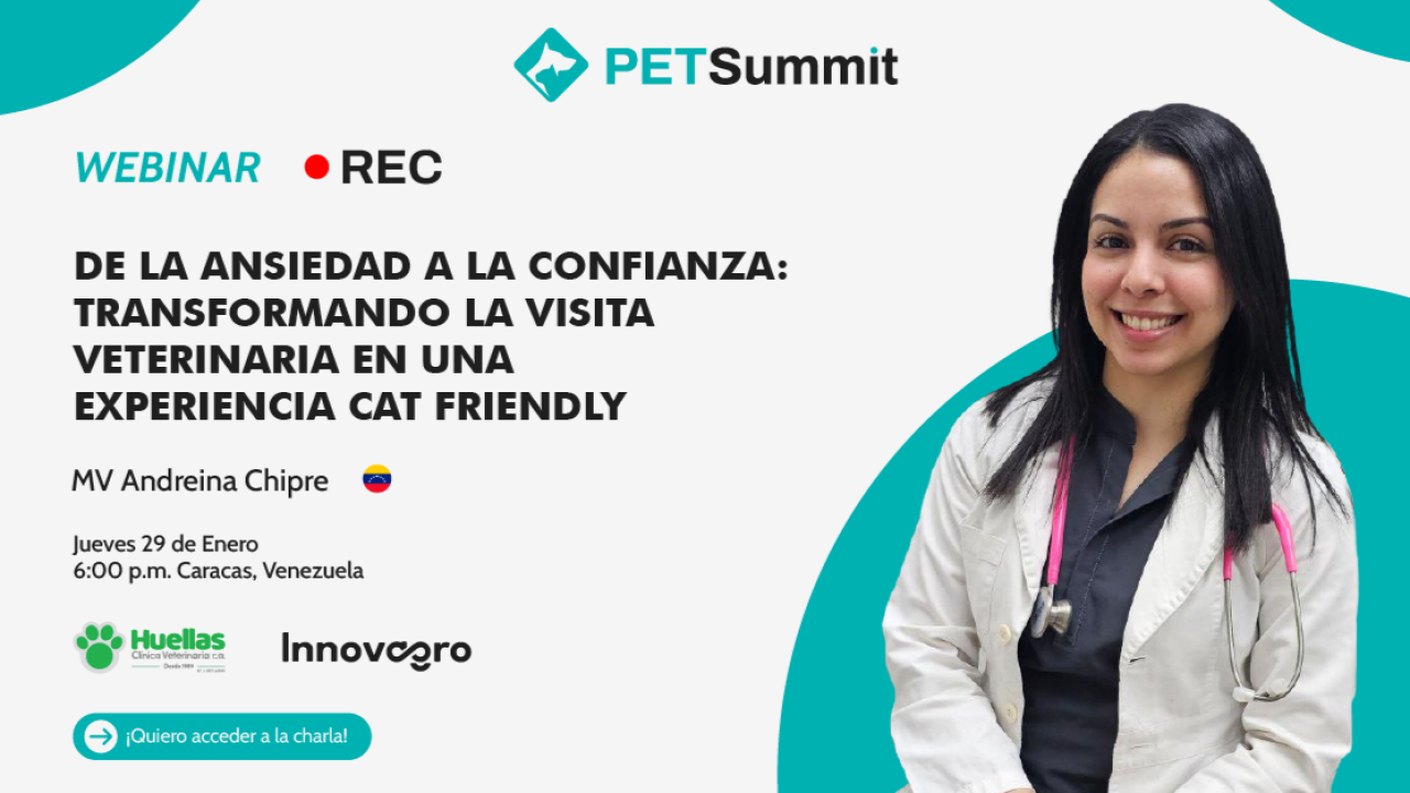 Experiencia Cat Friendly