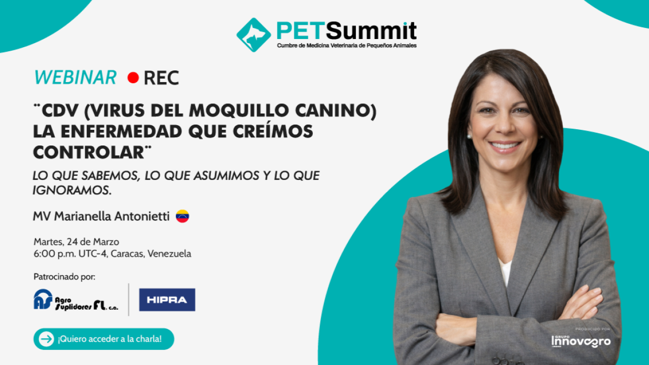 CDV (virus del moquillo canino)