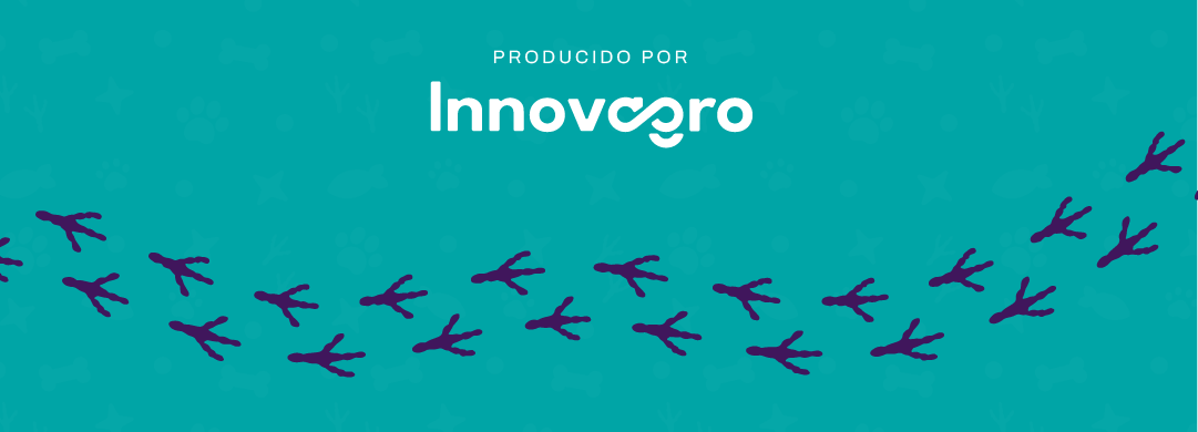 Decorador inferior SaveTheDate